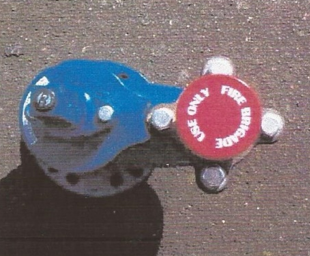 Hydrant capping system